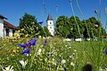 Blühfläche in Hagenhill - nachher (Foto: Christa Boretzki)