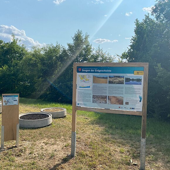 Schuttermoos Lehrpfad (Foto: Susanne Unger)